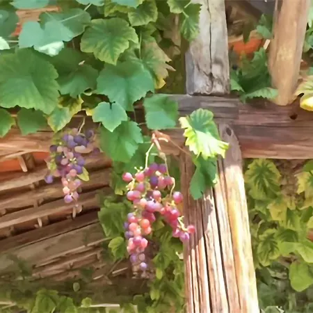 4 Bedroom Cozy In Monfaucon Monfaucon (Hautes-Pyrenees)