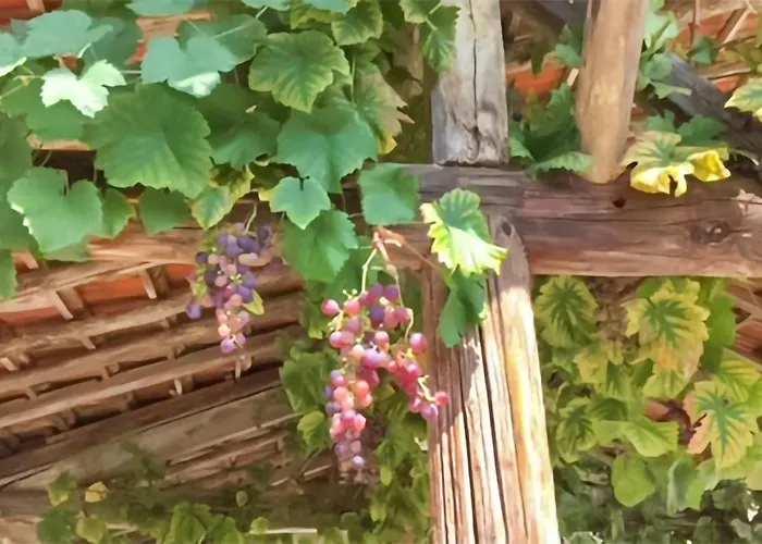 4 Bedroom Cozy In Monfaucon Monfaucon (Hautes-Pyrenees)